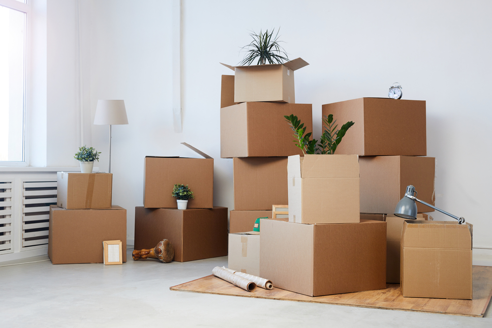 cartons en suffisance pour votre déménagement